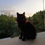 Catherine ahnou - @catherineahnou - Instagram