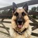 Catherine Akers - Facebook