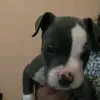 alexa - @catherine._alexa - TikTok
