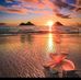 Catherine Allain - Facebook
