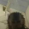 CatherineAllain - @catherineallainfaaqgio - TikTok