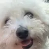Catherine Allan - @catherine.allan3 - TikTok