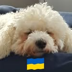 Catherine Allan - @catherine.allan.319247 - Instagram