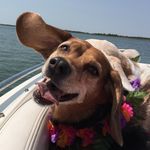 Catherine Allred Davis - @ladydavis__ - Instagram