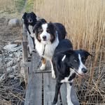 Catherine Andersson - @catherine.andersson.52 - Instagram