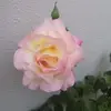 Catherine Andrews - @catherine.andrews0 - TikTok