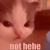 Catherine Anger - @catsilverbird - TikTok