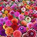 Katherine Angle - Facebook