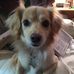 Catherine Anglin - Facebook