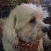 Catherine Apicella - Facebook
