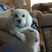 Cathy Apicella - Facebook