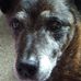 Catherine Armitage - Facebook