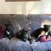 Catherine Armitage - Facebook