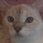Catherine Armitage - @catherine.armitage.965 - Instagram