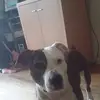 cathy - @catherineaudu - TikTok