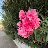 Catherine - @catherineaustin._0 - TikTok