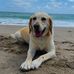 Catherine DeGeorge Backus - Facebook