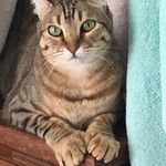 Catherine Bacon - @catherine.vaillancourt.92 - Instagram