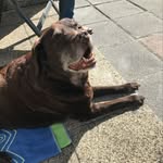 Catherine Barnard - @catb8967 - Instagram