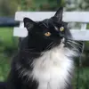 Catherine Barnard - @catherine.barnard - TikTok