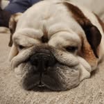 Catherine Barnard Hannah - @hannahcatherinebarnard - Instagram