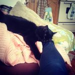 Catherine Beaudet - @_catbeaudet_ - Instagram