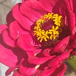 Catherine Begin Foley - @beginfoleycatherine - Instagram