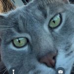 Catherine Belisle - @belislecatherine - Instagram