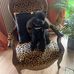 Catherine Riotton-Berclaz - Facebook