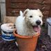 Catherine Betts - Facebook