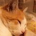 Catherine Bianchi - Facebook