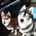 Catherine Haag-Biermann - @haagbiermann - Instagram