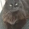 Cathrin Biermanns-Grühn - @cathrin.biermanns - TikTok