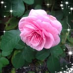Catherine Biggs - Facebook
