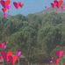Cat Bozan - Facebook