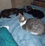 Catherine Bonneau - Facebook