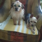 Catherine Bonneau - Facebook