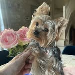 Catherine Bonneaud - @catherinebonneaud - Instagram