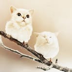 Catherine Bop - Facebook