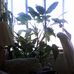 Catherine Borders - Facebook