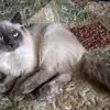 catherineboure - @catherineboure - TikTok