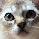 SingapurasFrance - @catherine_bourreau - Instagram
