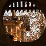 Catherine Bourbon - @bourbon5586 - Instagram