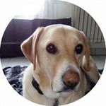 Catherine Bourbon Balourdet - @catherinebourbonbalourdet - Instagram