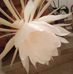Catherine Bourdier - Facebook