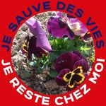 Catherine Bourdier - @catherine.bourdier.50 - Instagram