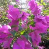 Catherine Bourdier - @catherine.bourdie - TikTok