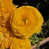 catherinebourdon59 - @catherinebourdon59 - TikTok