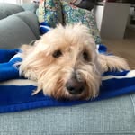 Catherine Bourke - @snugglepot11 - Instagram