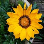 Catherine Bourne - @mrsbeehsct - Instagram